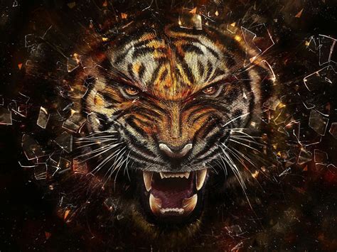 白虎桌布|[1900+] Tiger Wallpapers